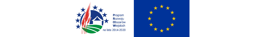 Logo Programu Rozwoju Obszarów Wiejskich 2014-2020, Unia Europejska