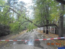 30 września – połamane drzewa, brak prądu, zalane ulice - grafika