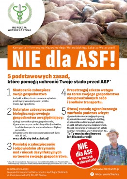 Kampania informacyjna: Nie dla ASF! - grafika